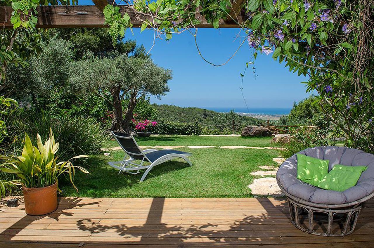 فيلا Above The Sea Ein Hod المظهر الخارجي الصورة