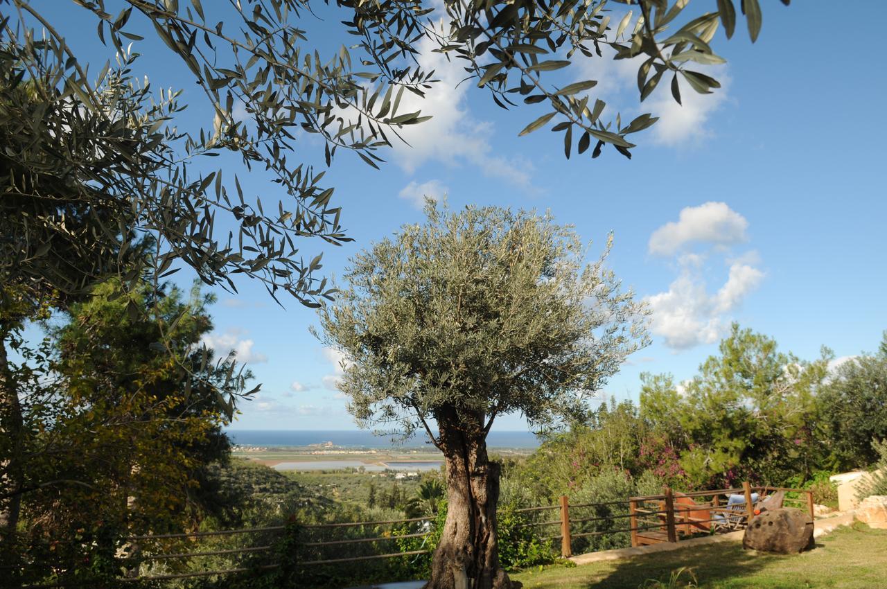 فيلا Above The Sea Ein Hod المظهر الخارجي الصورة